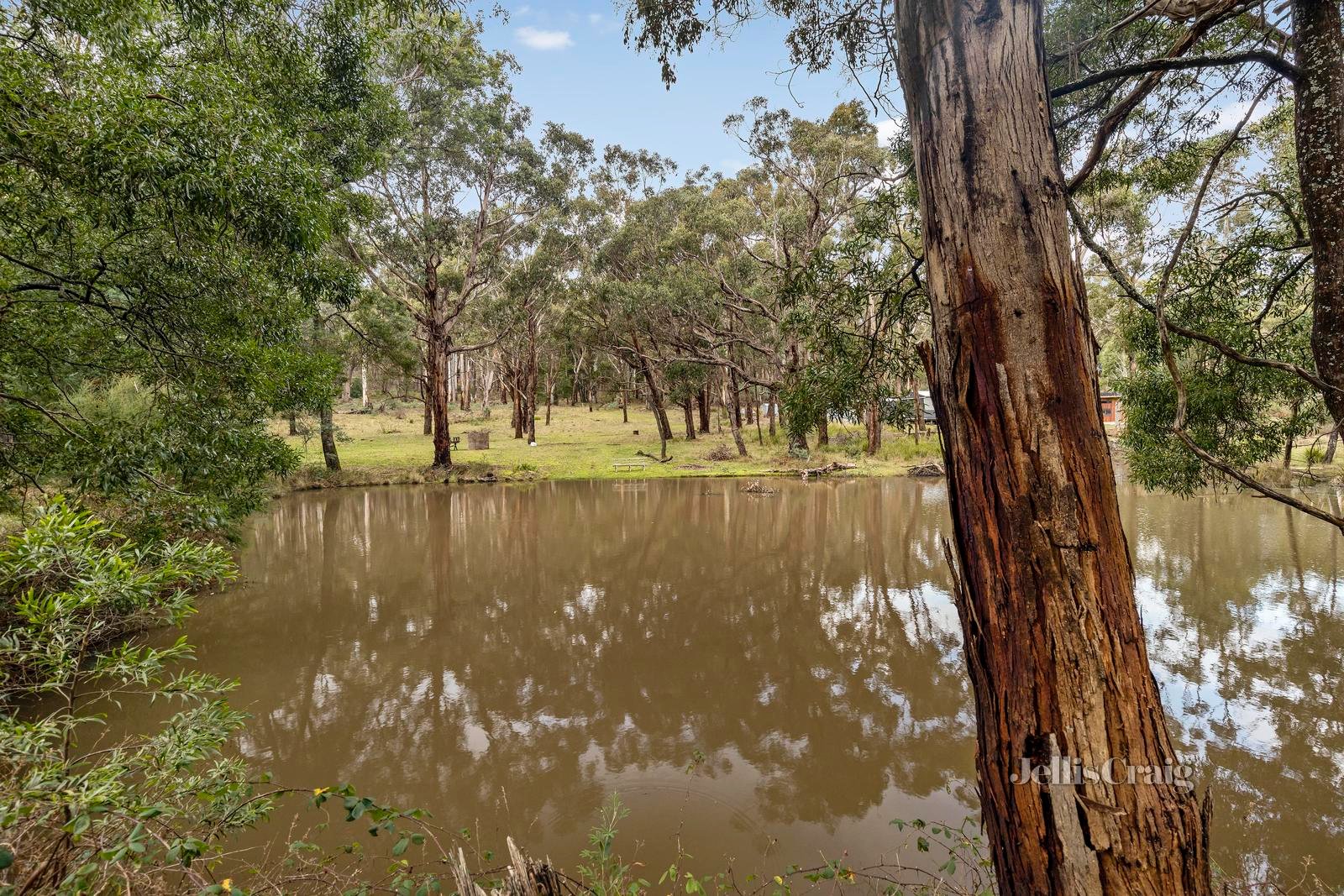 120 Whitegum Drive, Wheatsheaf image 1