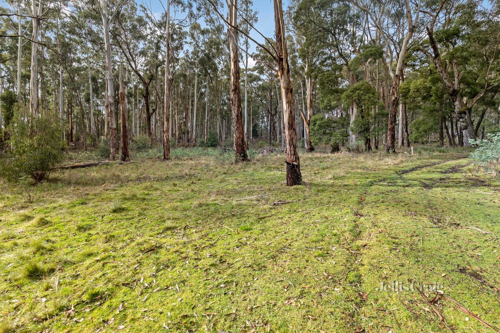 120 Whitegum Drive, Wheatsheaf image 4
