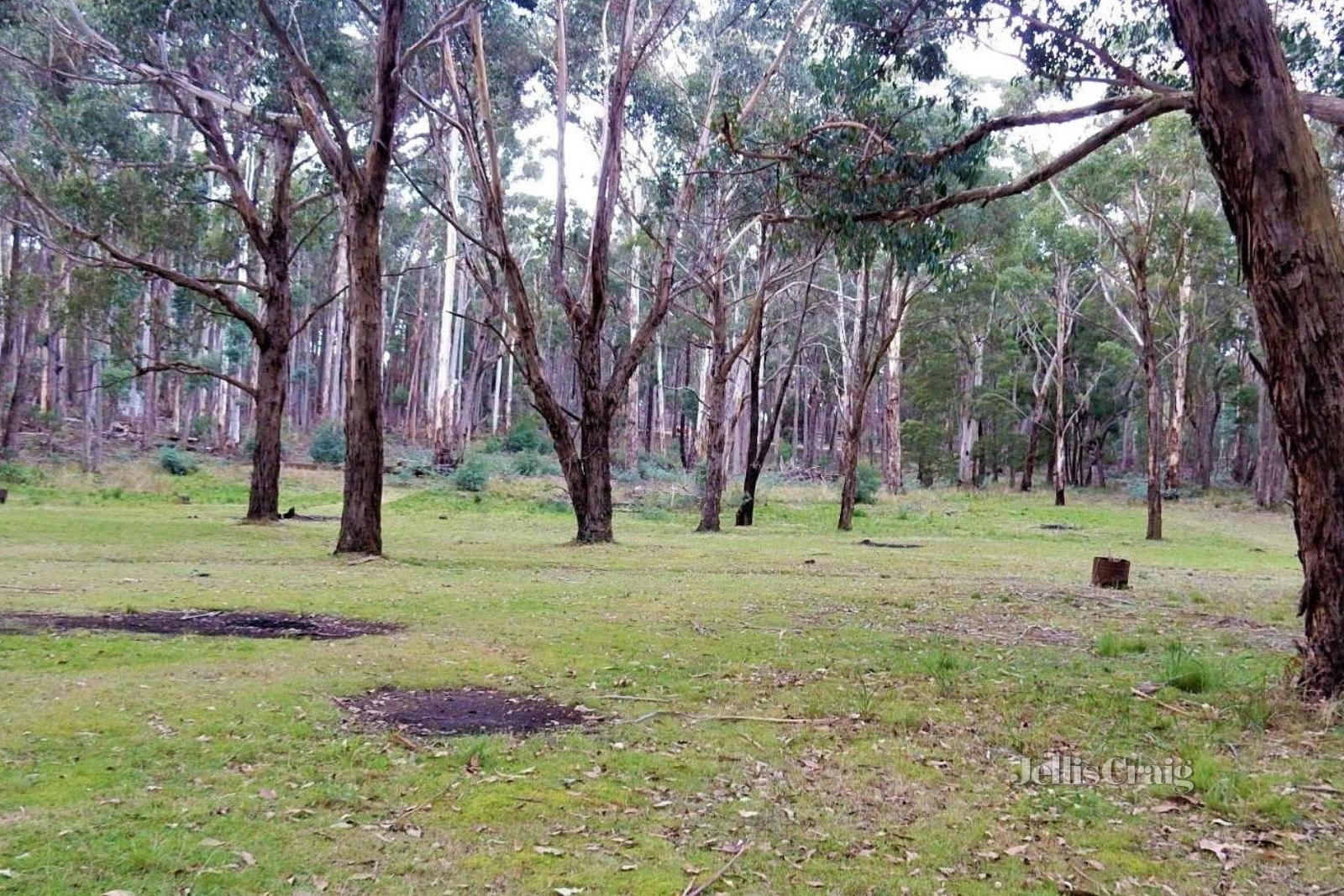 120 Whitegum Drive, Wheatsheaf image 9