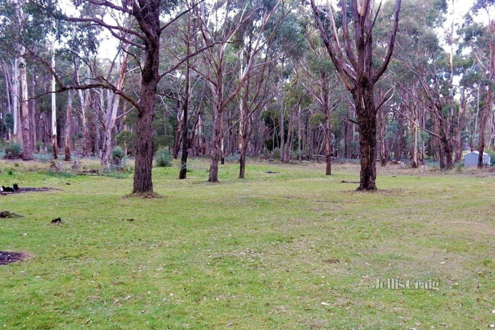 120 Whitegum Drive, Wheatsheaf image 10