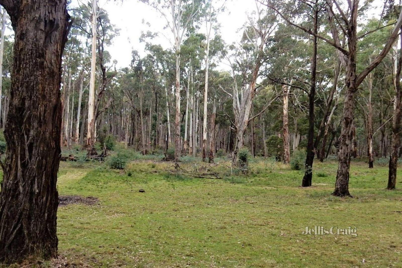 120 Whitegum Drive, Wheatsheaf image 11