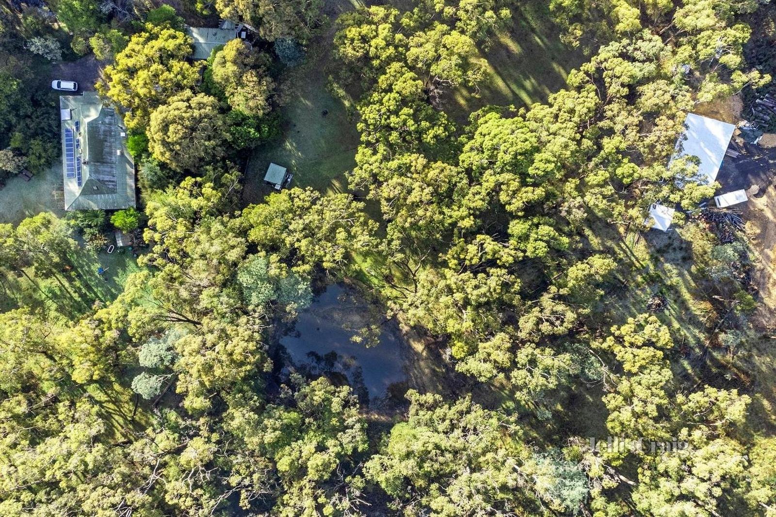 120 Whitegum Drive, Wheatsheaf image 16