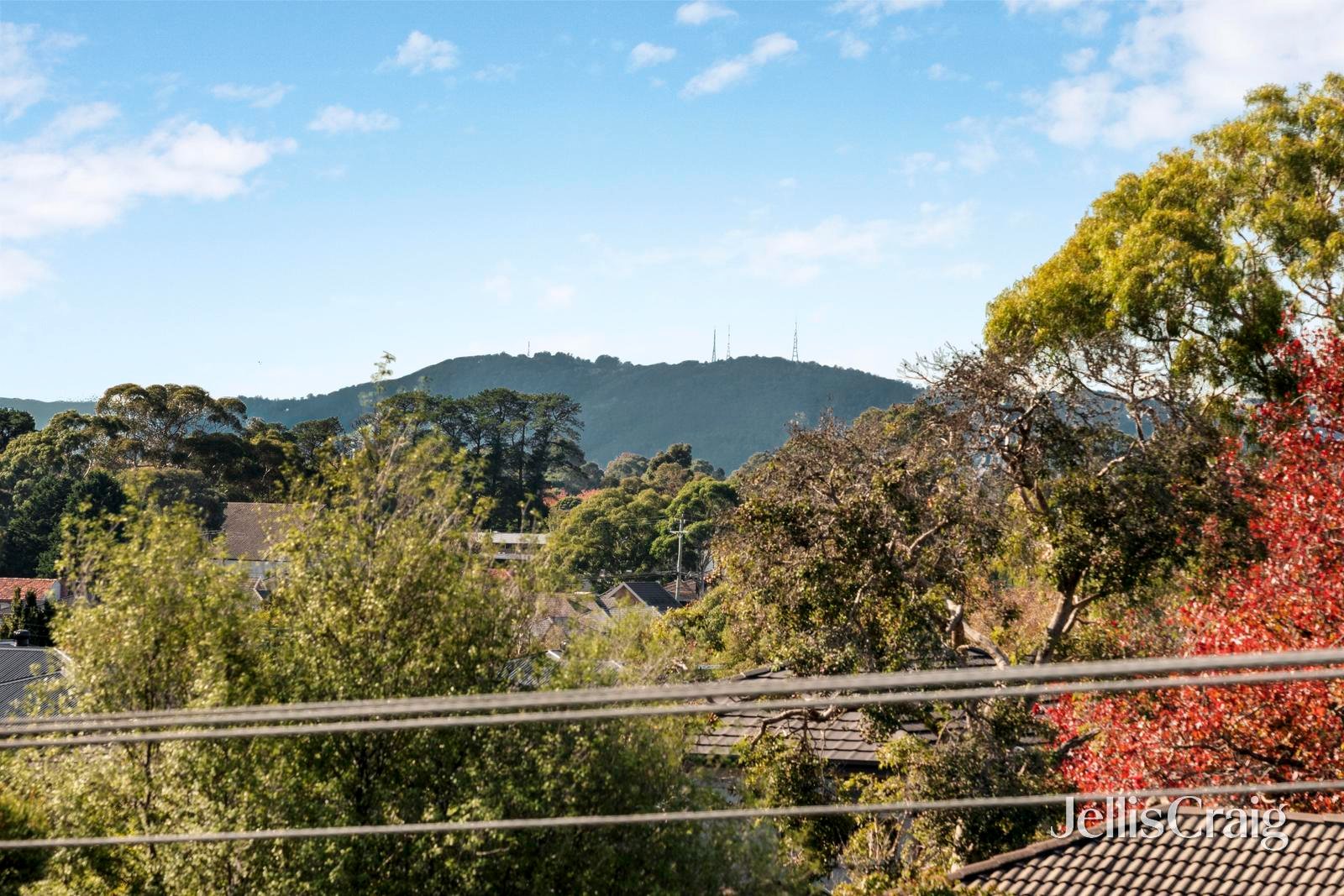 1/205 Lawrence Road, Mount&nbsp;Waverley image 17