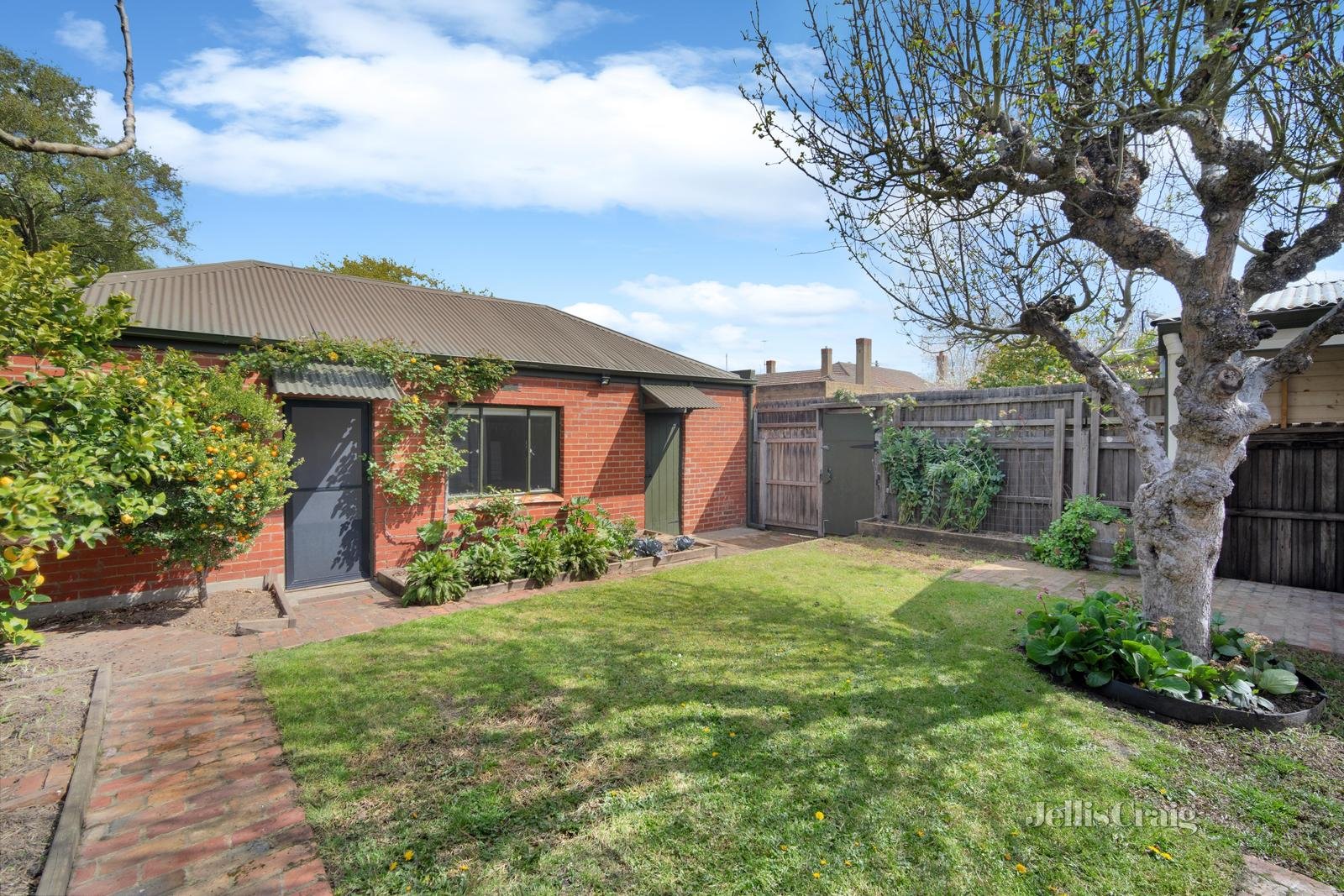 1207 Mair Street, Ballarat Central image 6