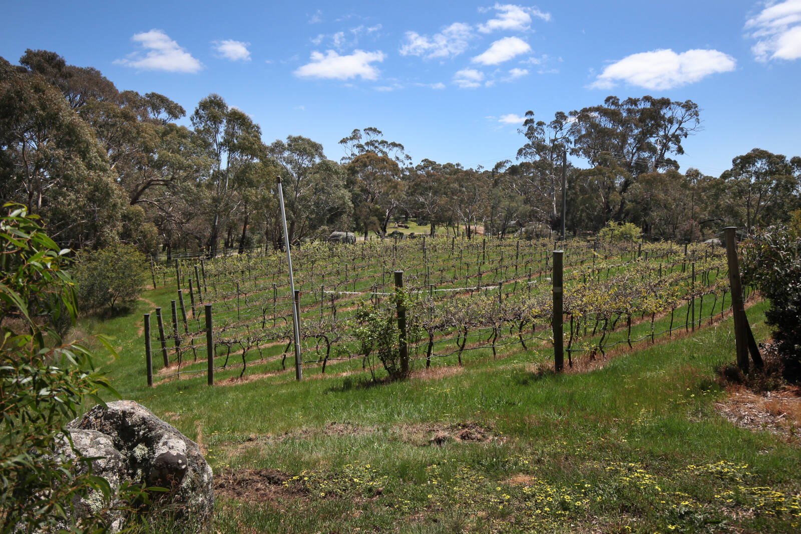 Property Gallery Thumbnail 11