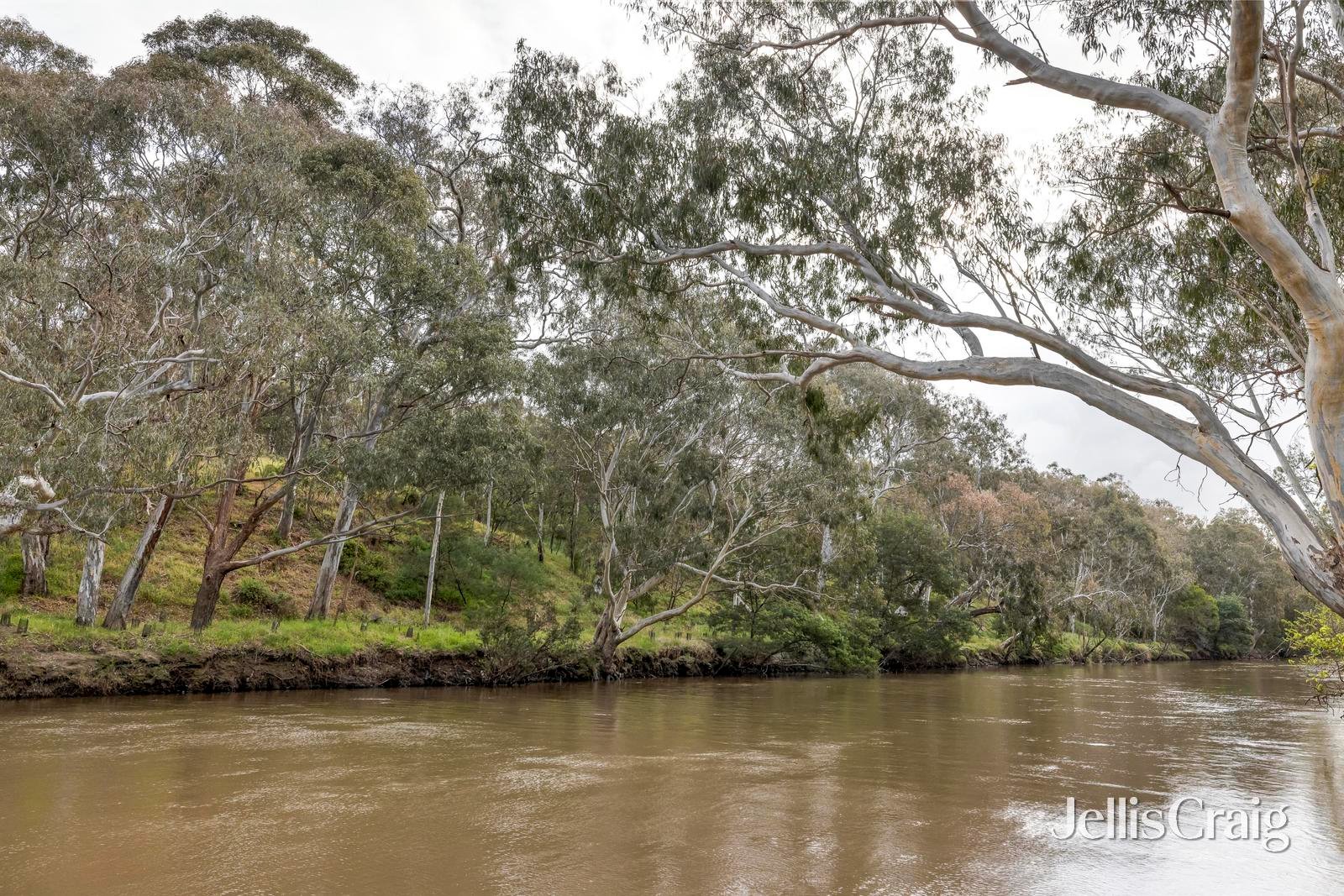 12/39A Park Crescent, Fairfield image 12