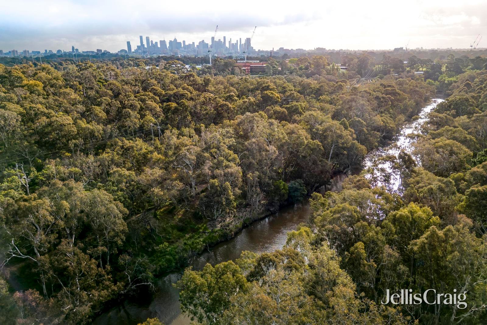 12/39A Park Crescent, Fairfield image 13