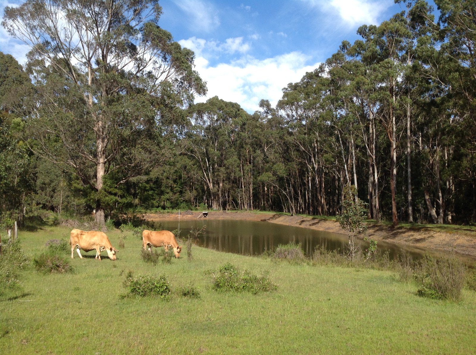 124 Mulcahys Road, Trentham image 6