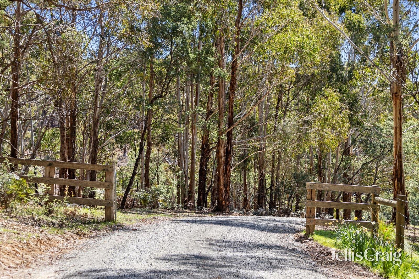 124 O'Learys Lane, Spring&nbsp;Hill image 2