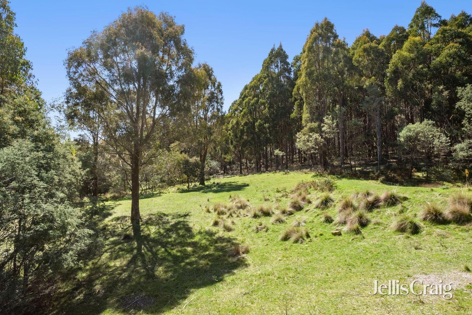 124 O'Learys Lane, Spring&nbsp;Hill image 21