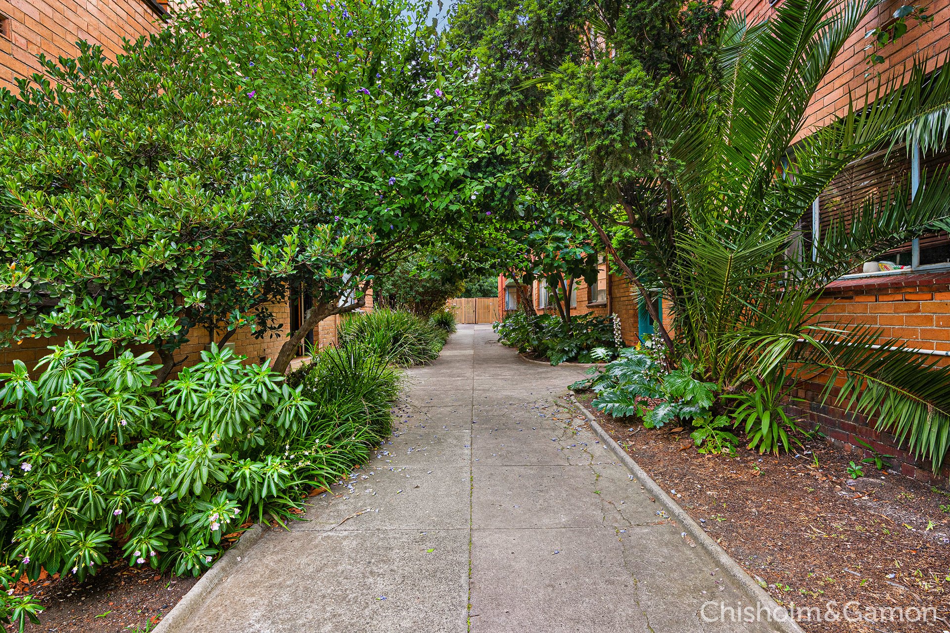 12/49 Acland Street, St Kilda image 10