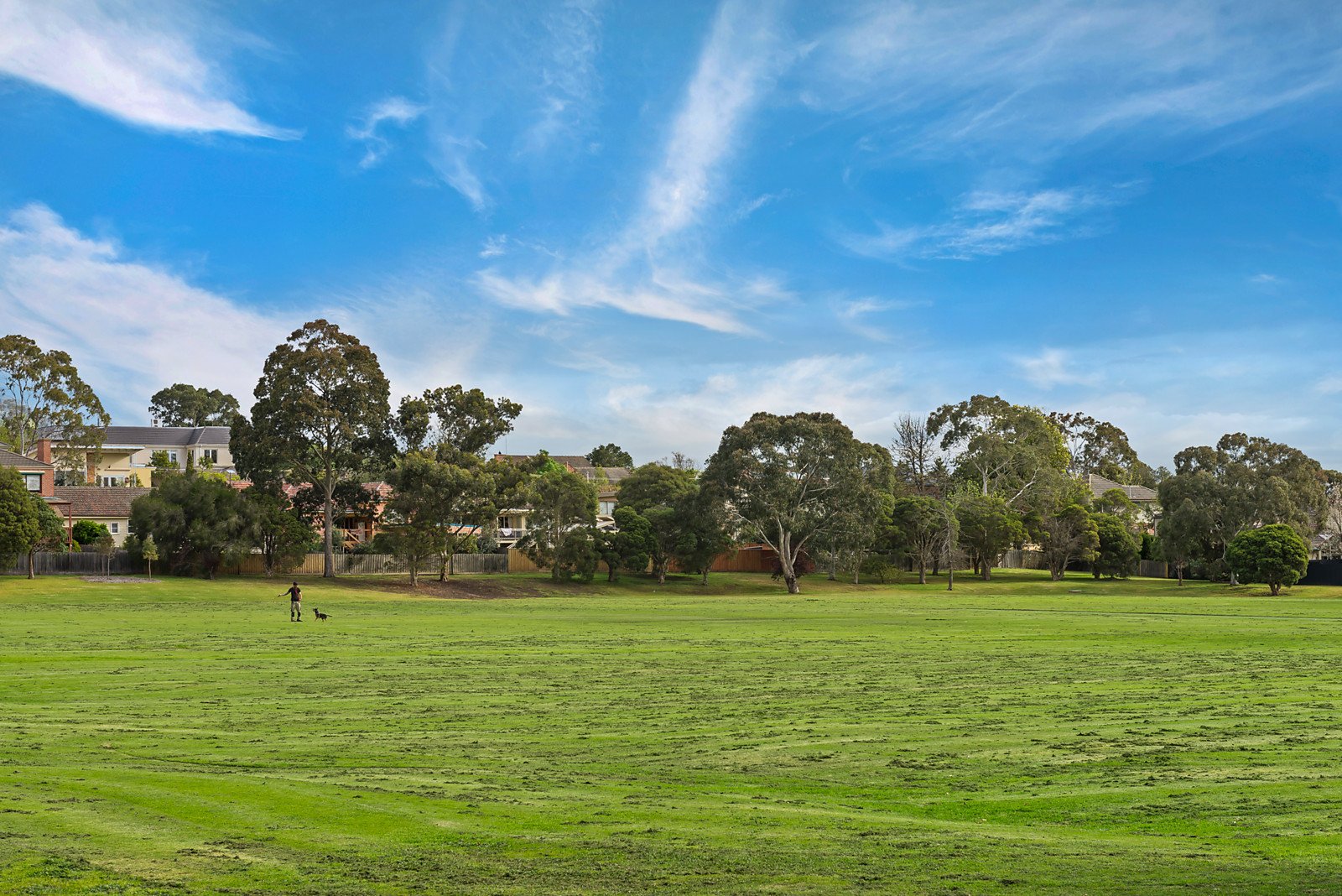 1/25 Albury Road, Balwyn North image 9