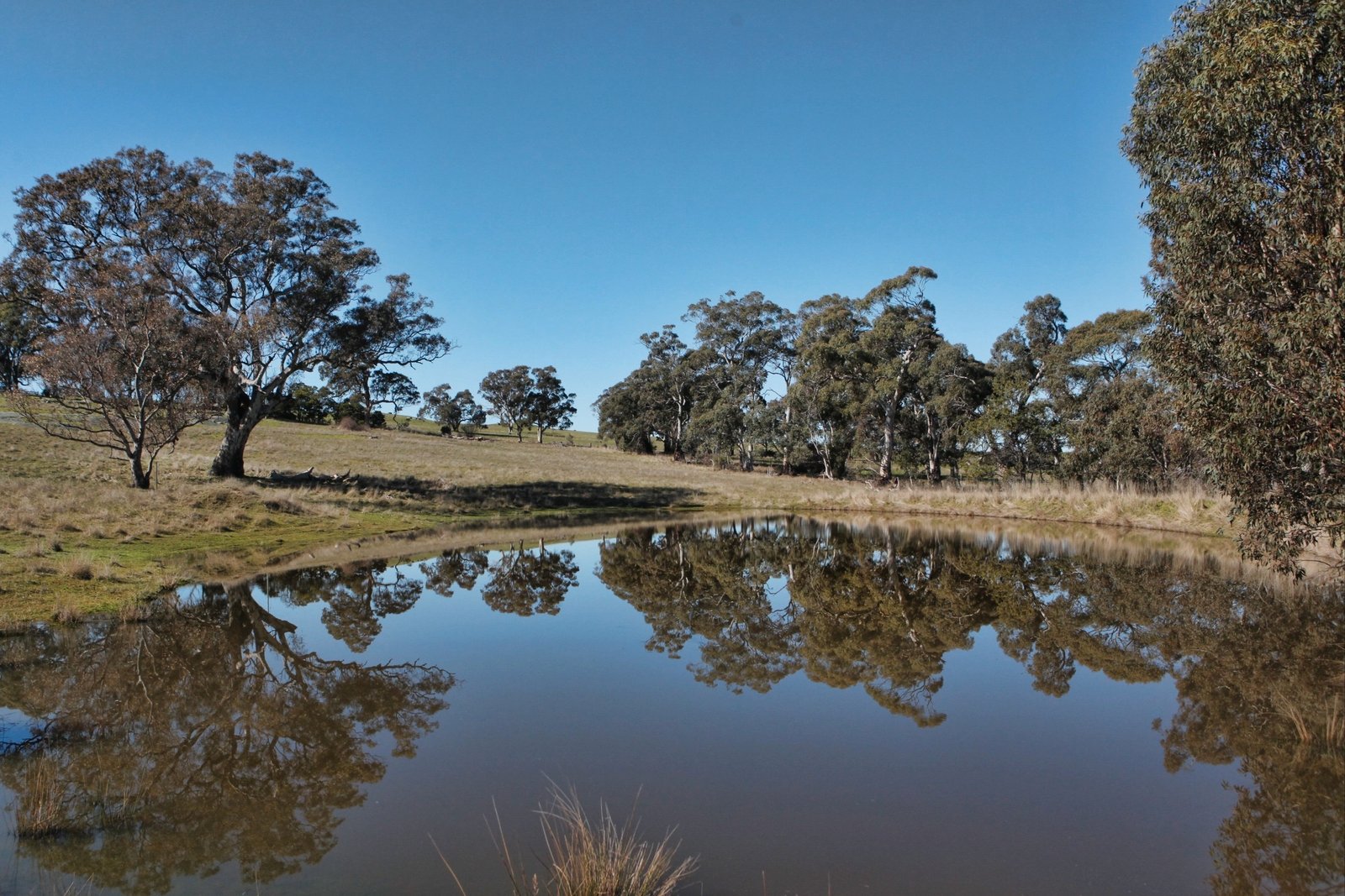 Property Gallery Thumbnail 7