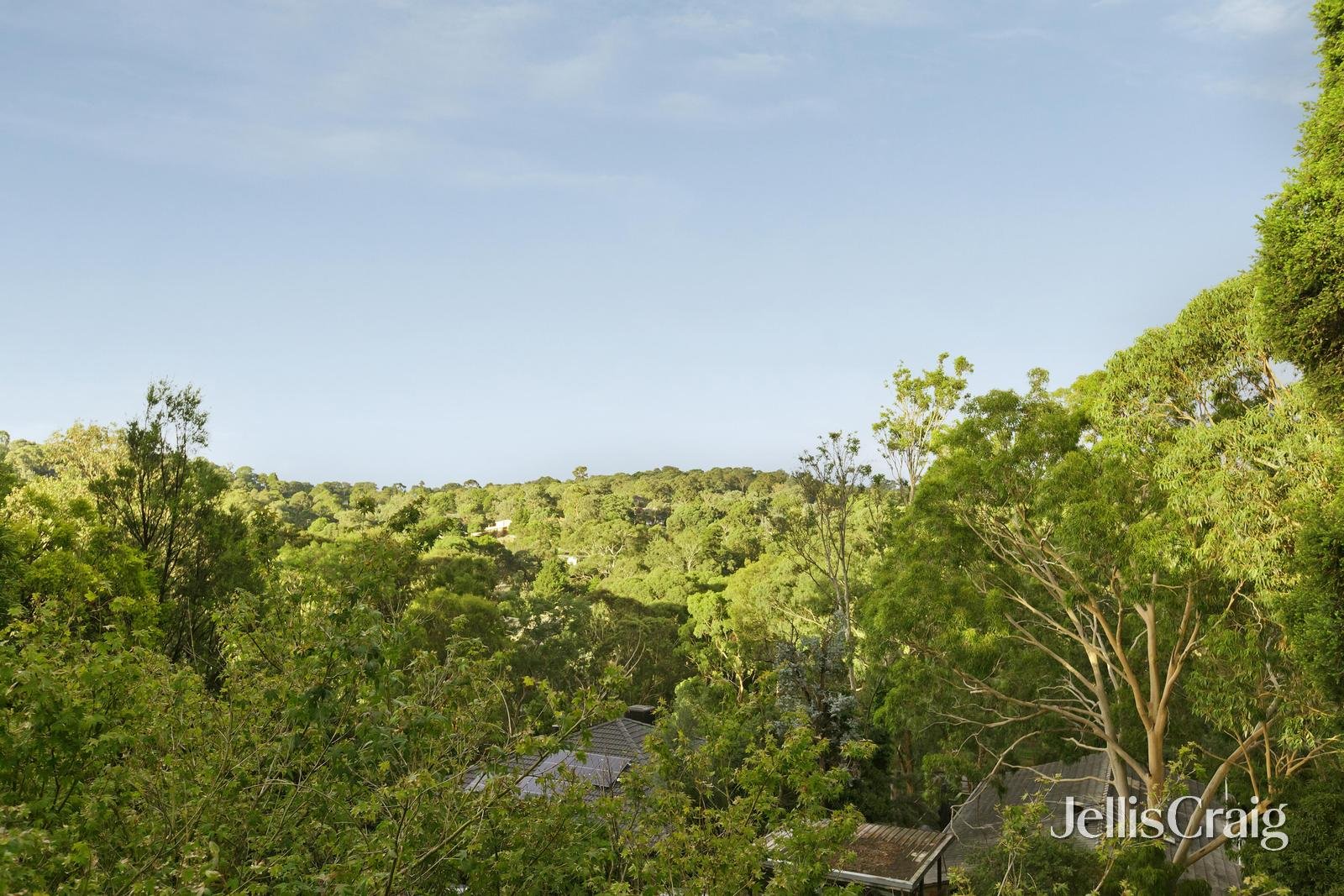 125 Fernside Avenue, Briar&nbsp;Hill image 16