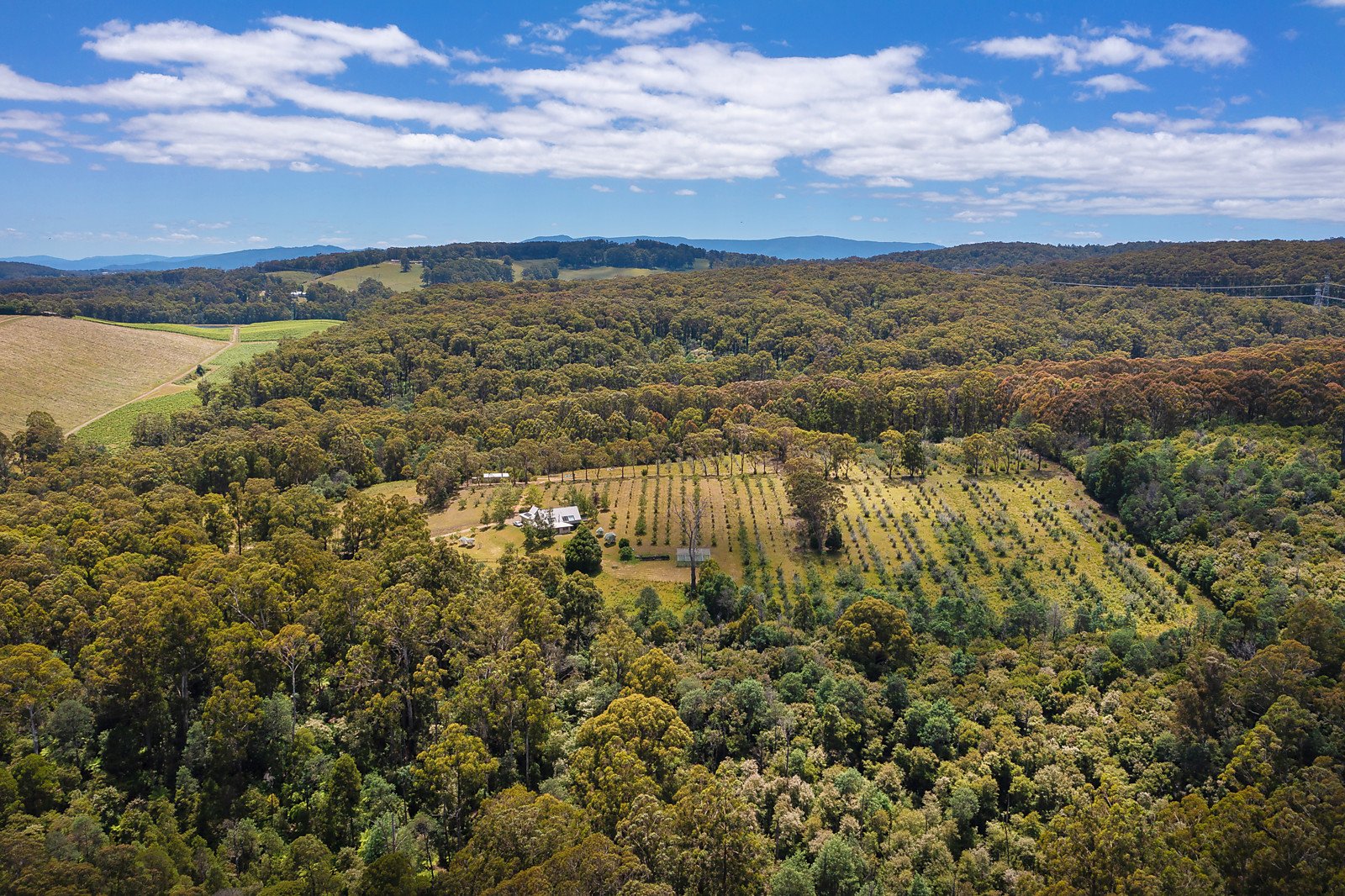 125 Hakea Road, Beenak VIC 3139