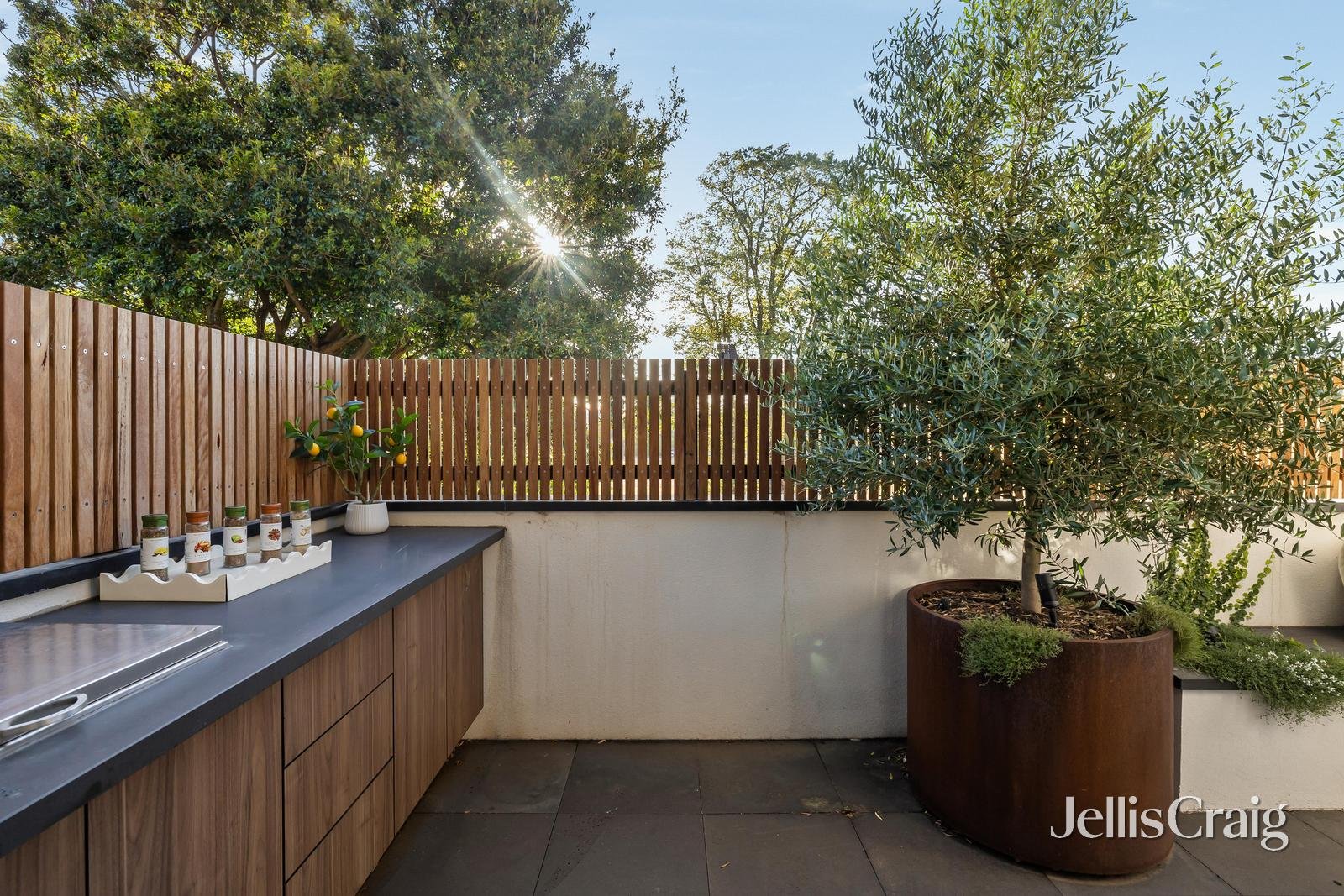 12/53 New Street, Brighton image 8