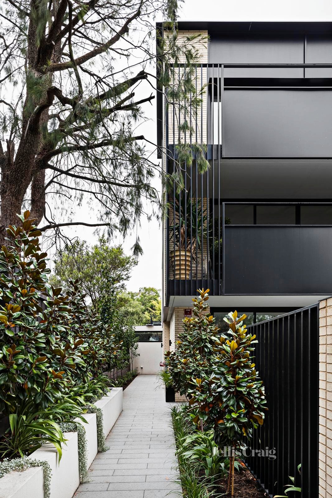 1/254 Wattletree Road, Malvern image 24