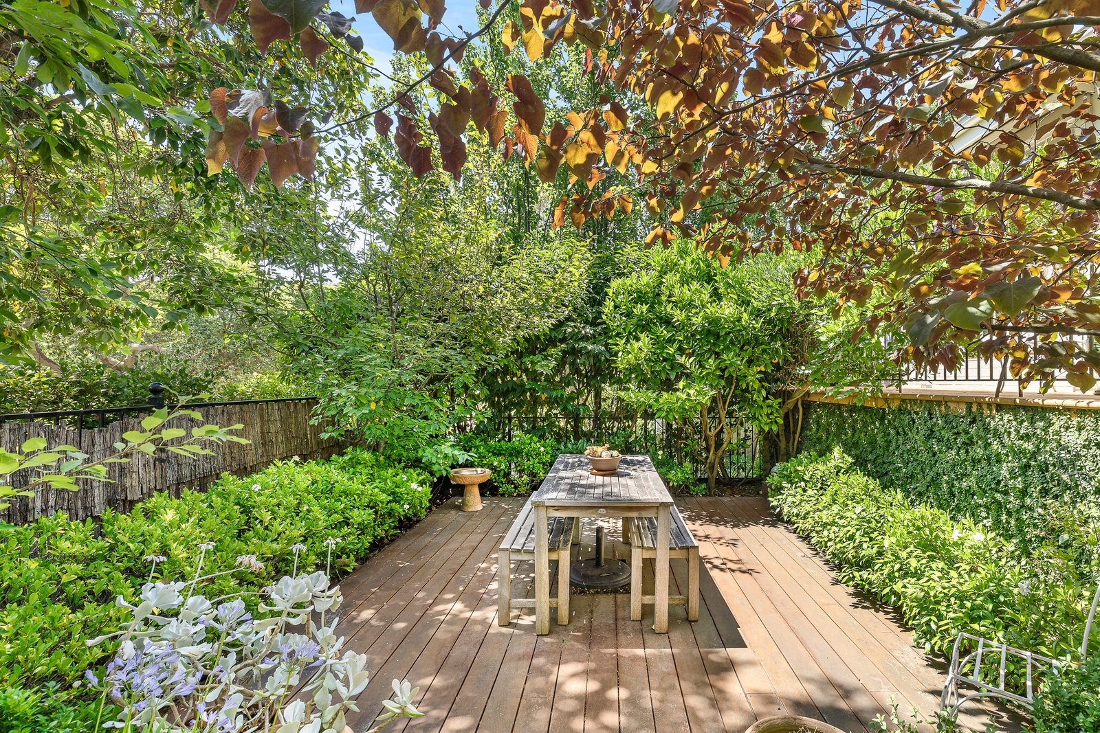 1/26 Ferncroft Avenue