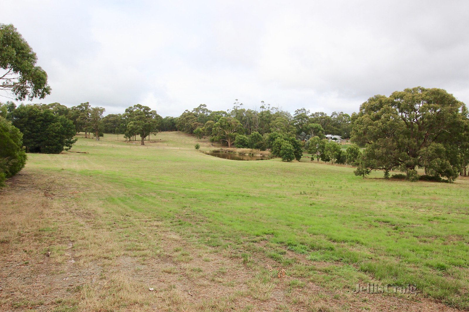 126 Hendersons Road, Smythes Creek image 2