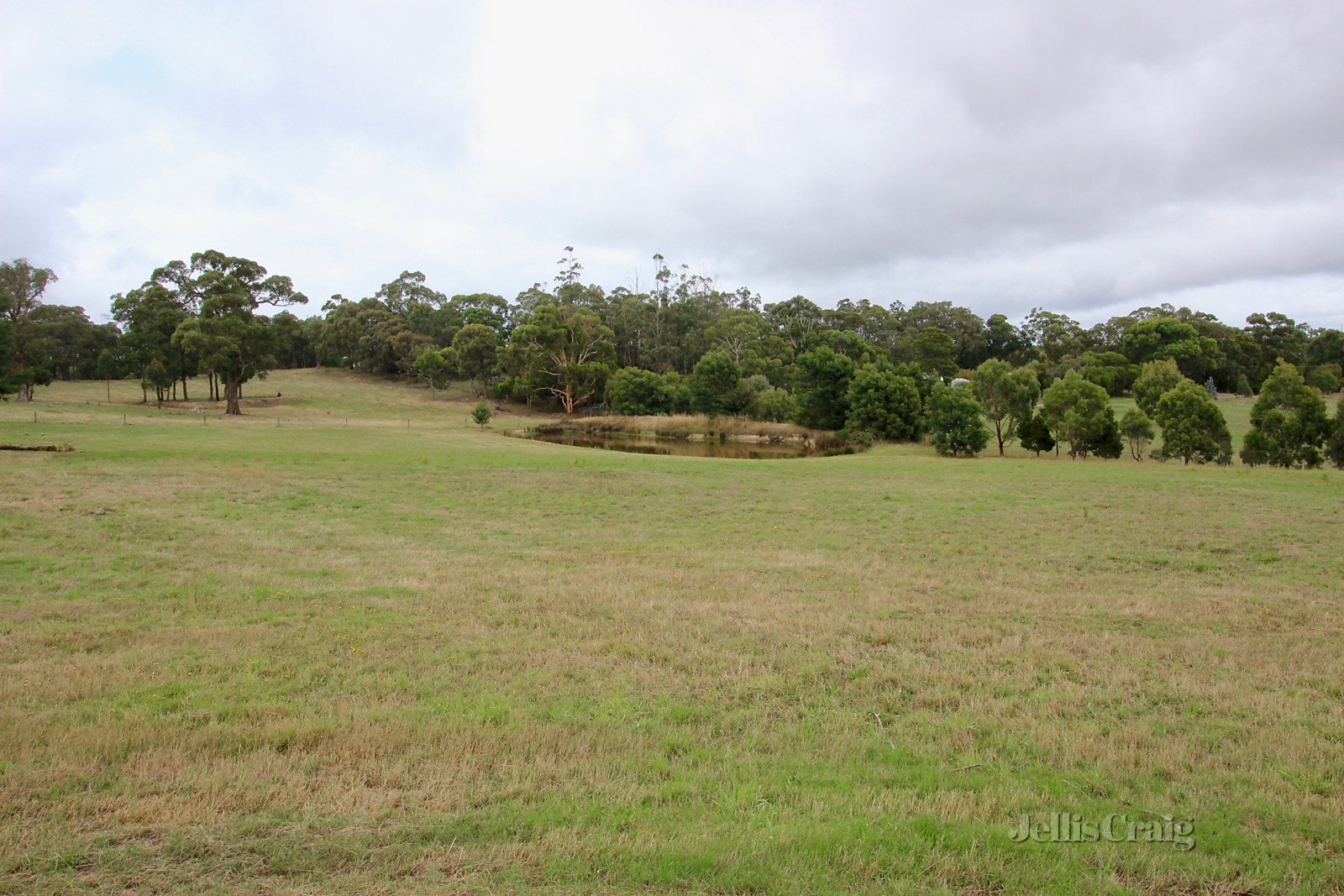 126 Hendersons Road, Smythes Creek image 4