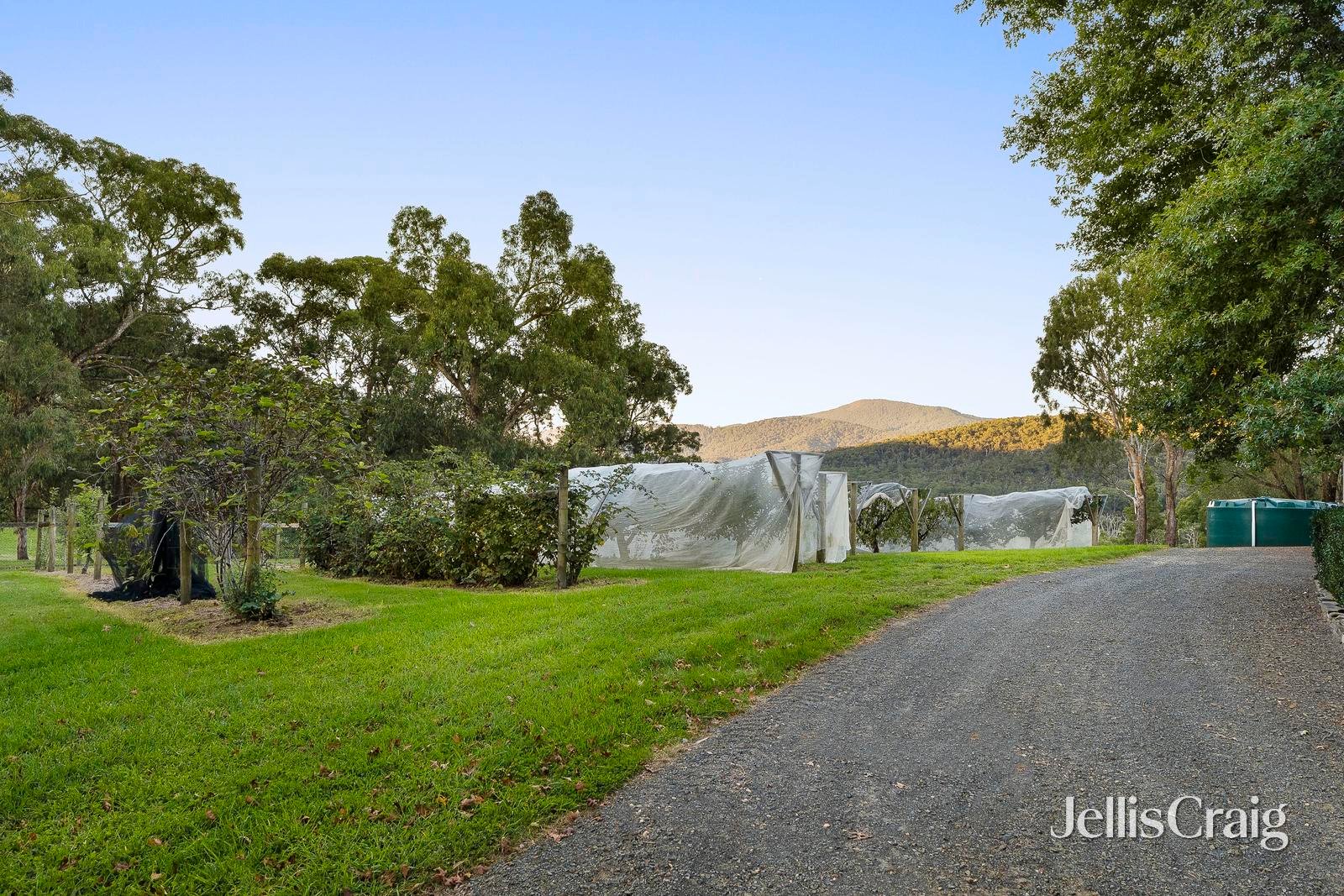 129 Whelans Road, Healesville image 24