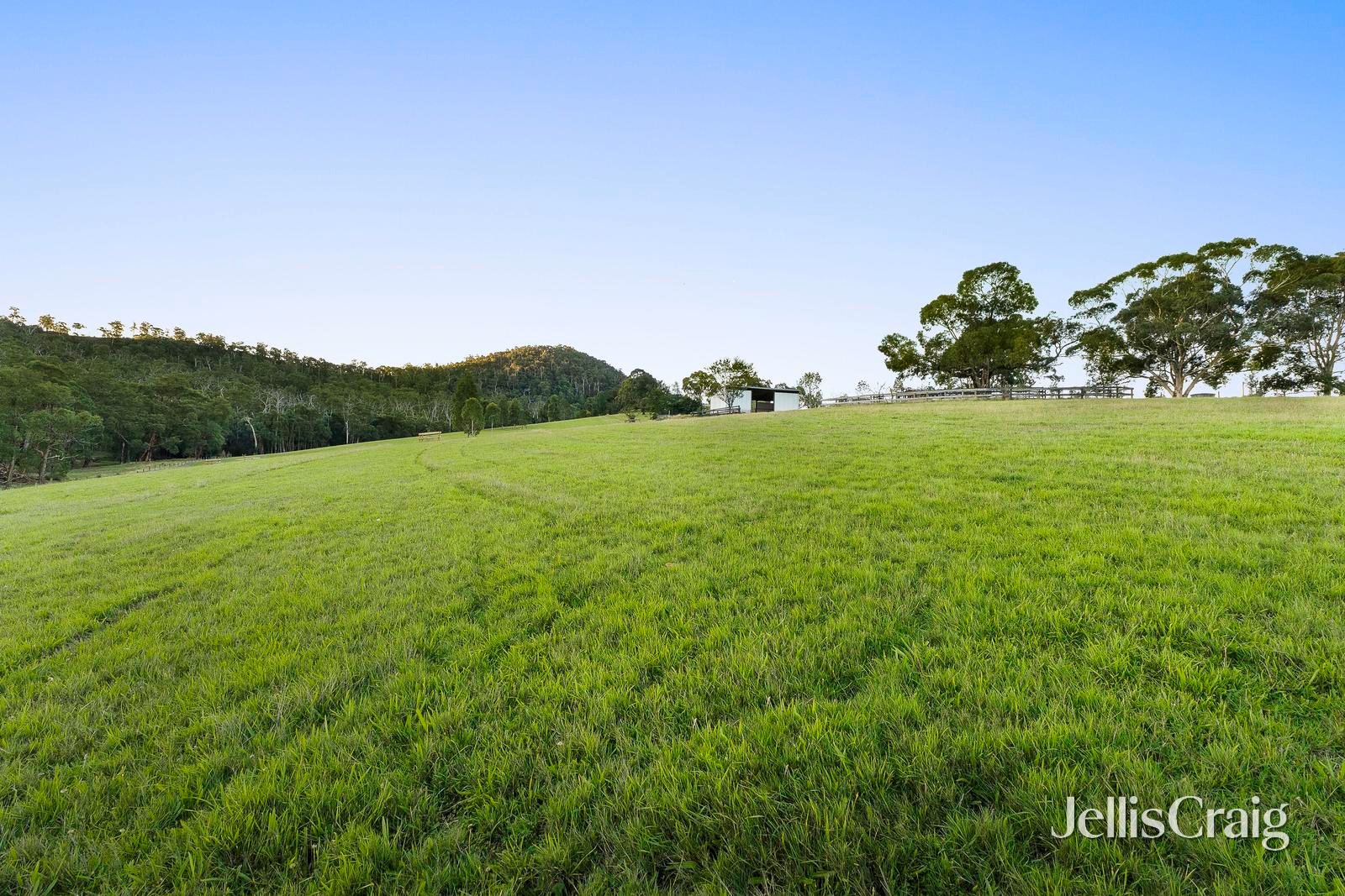 129 Whelans Road, Healesville image 25