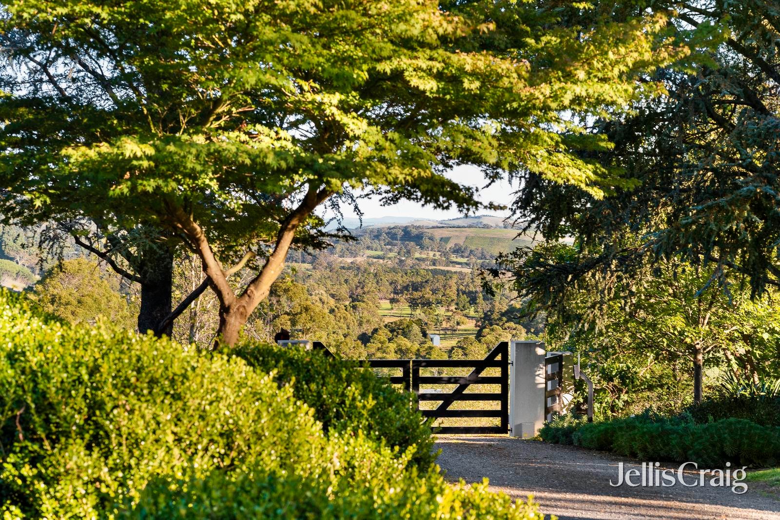 129 Whelans Road, Healesville image 30