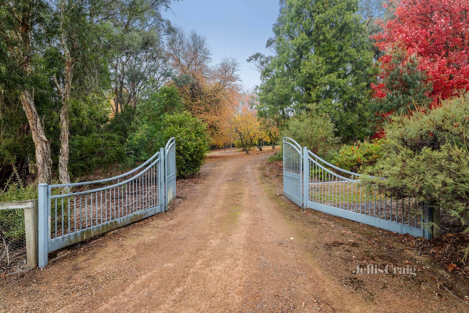 13-15 Lewis Road, Healesville image 11