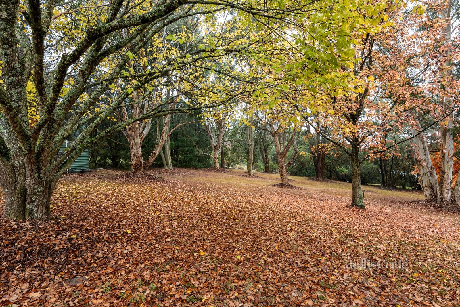 13-15 Lewis Road, Healesville image 12