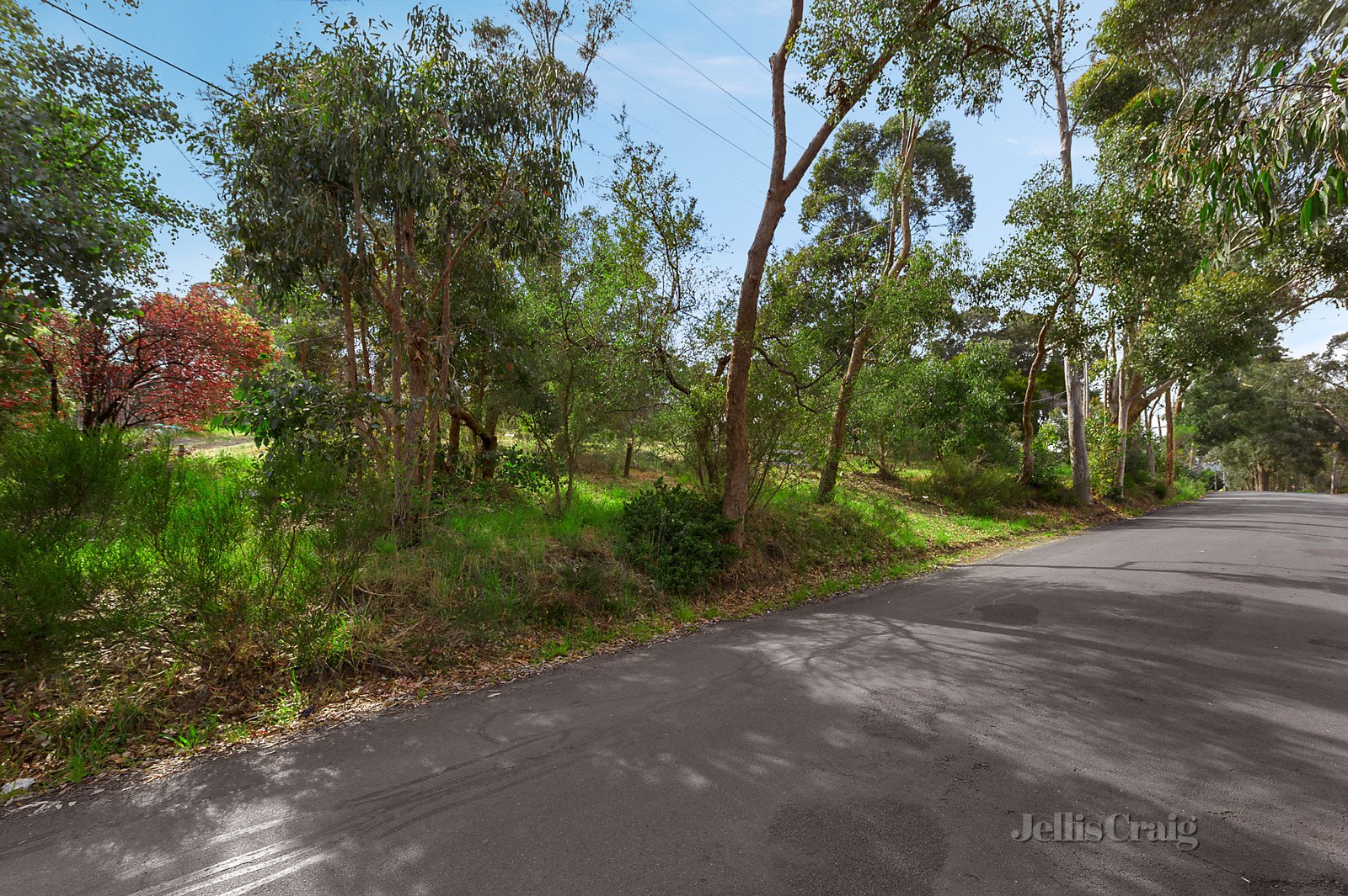 13-19 Old Aqueduct Road, Diamond Creek image 3