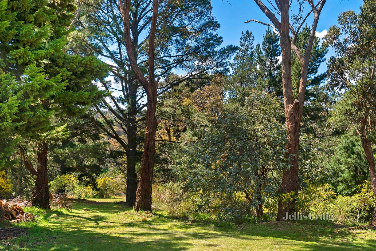 13 Arapiles Street, Nerrina image 9