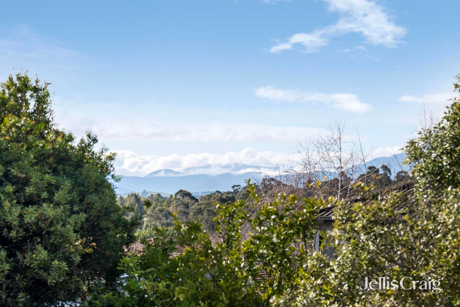13 Chester Street, Lilydale image 22