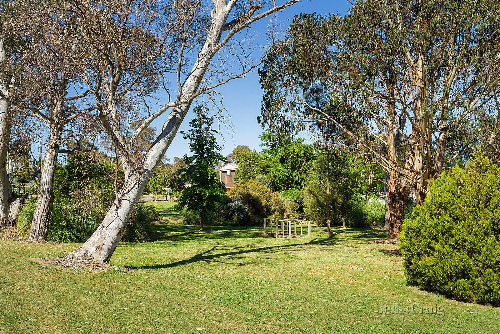 13 Coolstore Road, Harcourt image 5