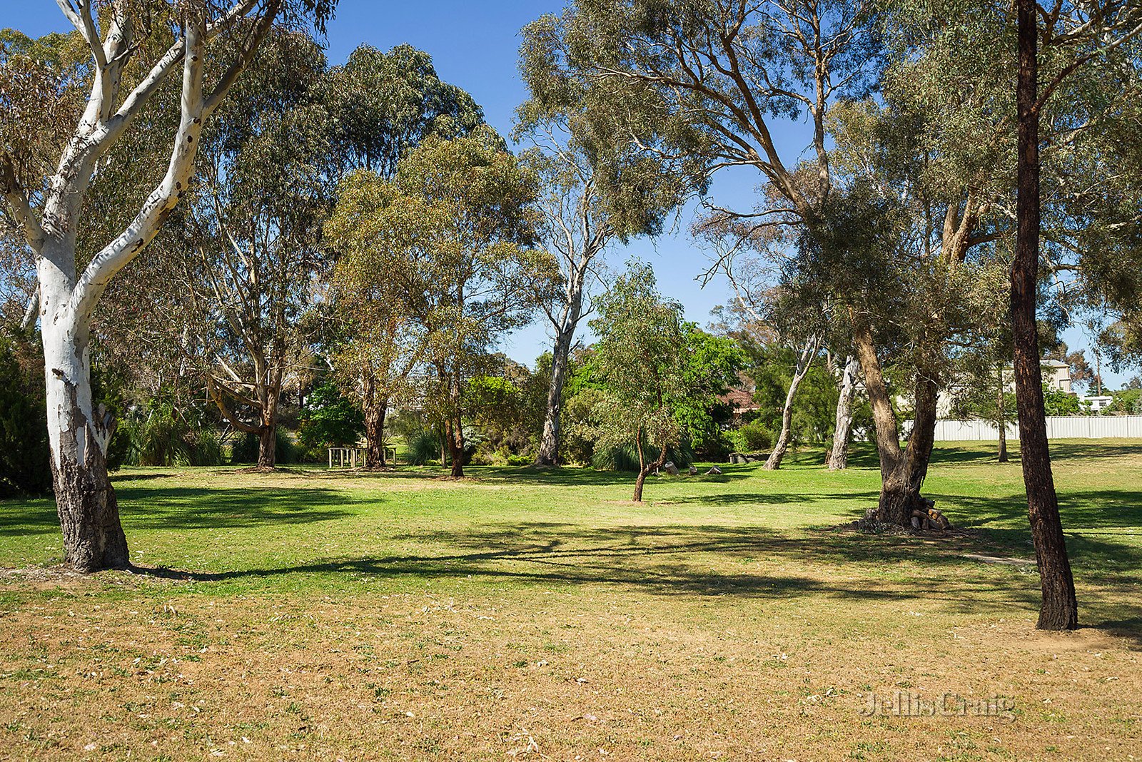 13 Coolstore Road, Harcourt image 7