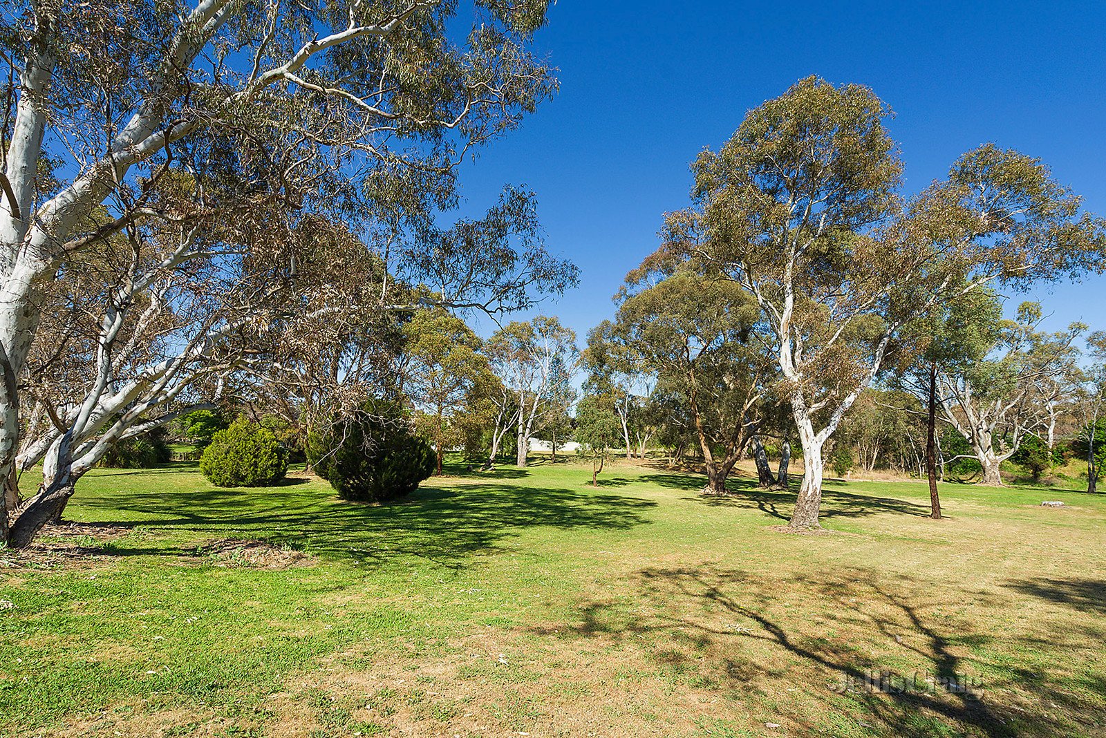 13 Coolstore Road, Harcourt image 8