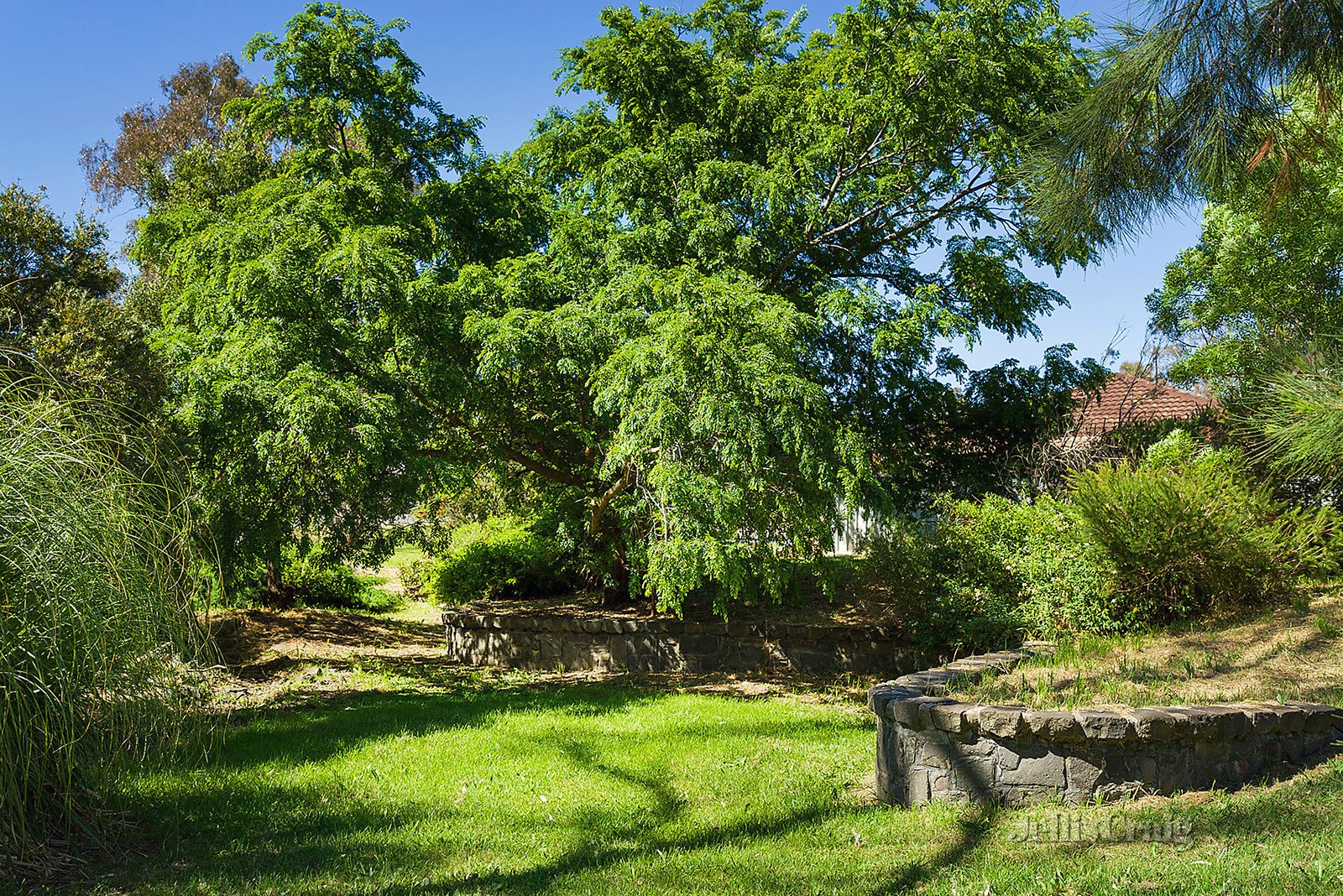 13 Coolstore Road, Harcourt image 10