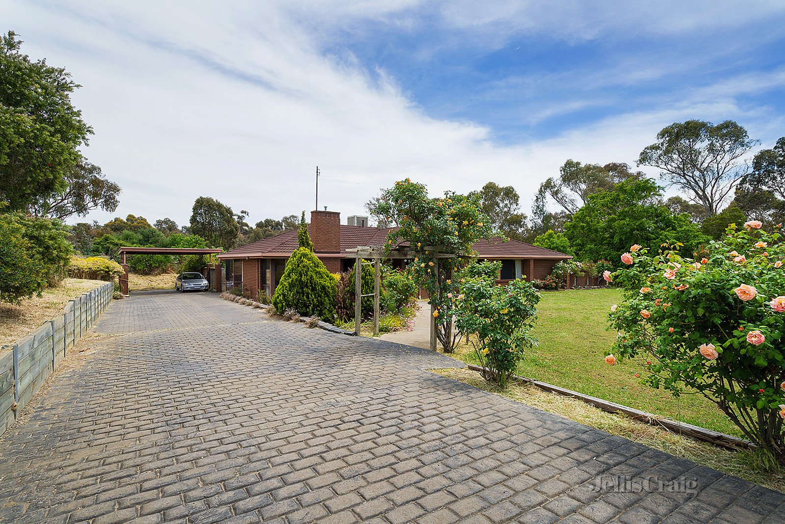 13 Coolstore Road, Harcourt image 4
