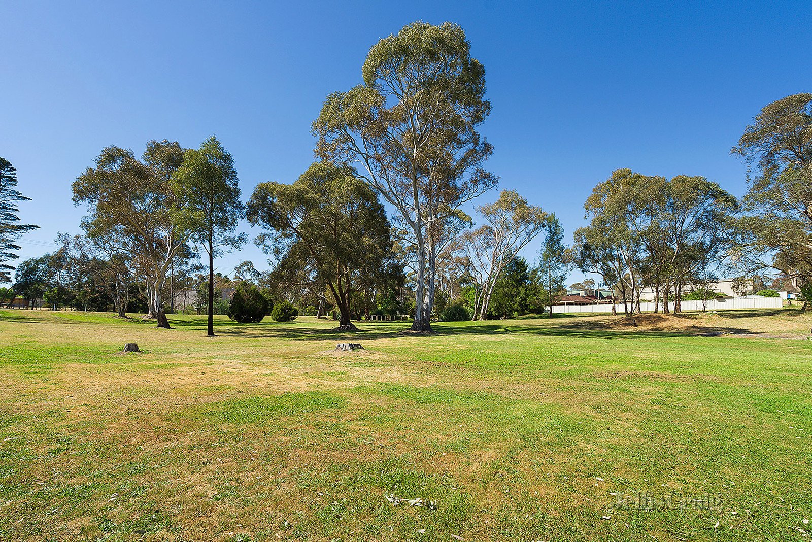 13 Coolstore Road, Harcourt image 9