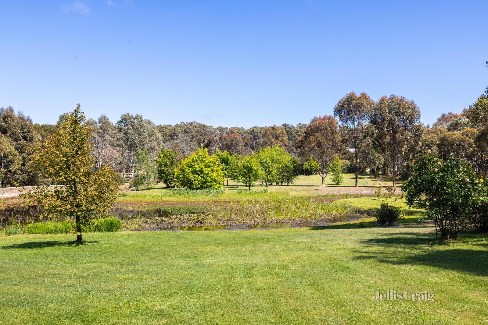 13 Crystal Court, Ross Creek image 7