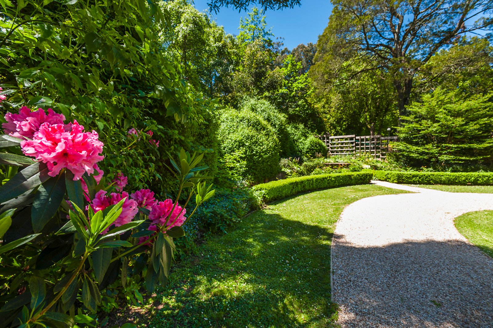 13 Devonshire Lane, Mount Macedon image 5