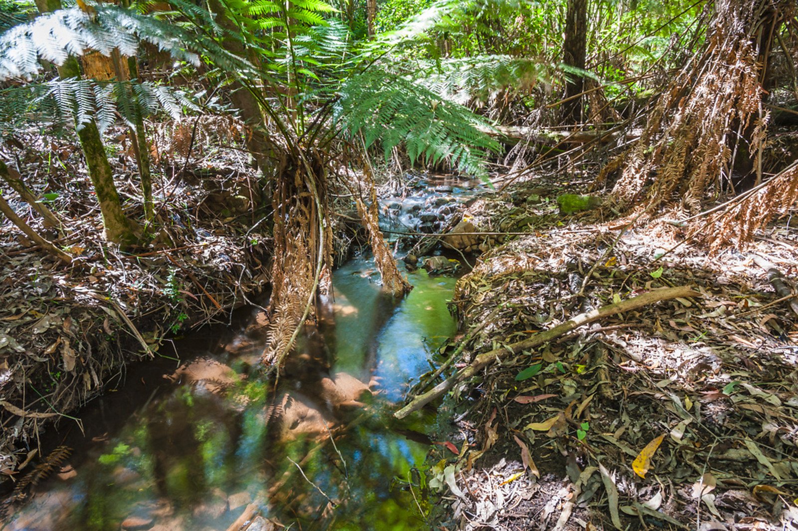 13 Devonshire Lane, Mount Macedon image 12