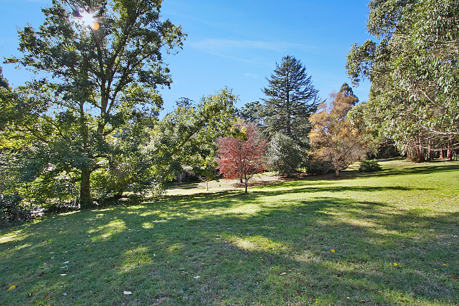 13 Devonshire Lane, Mount Macedon image 14