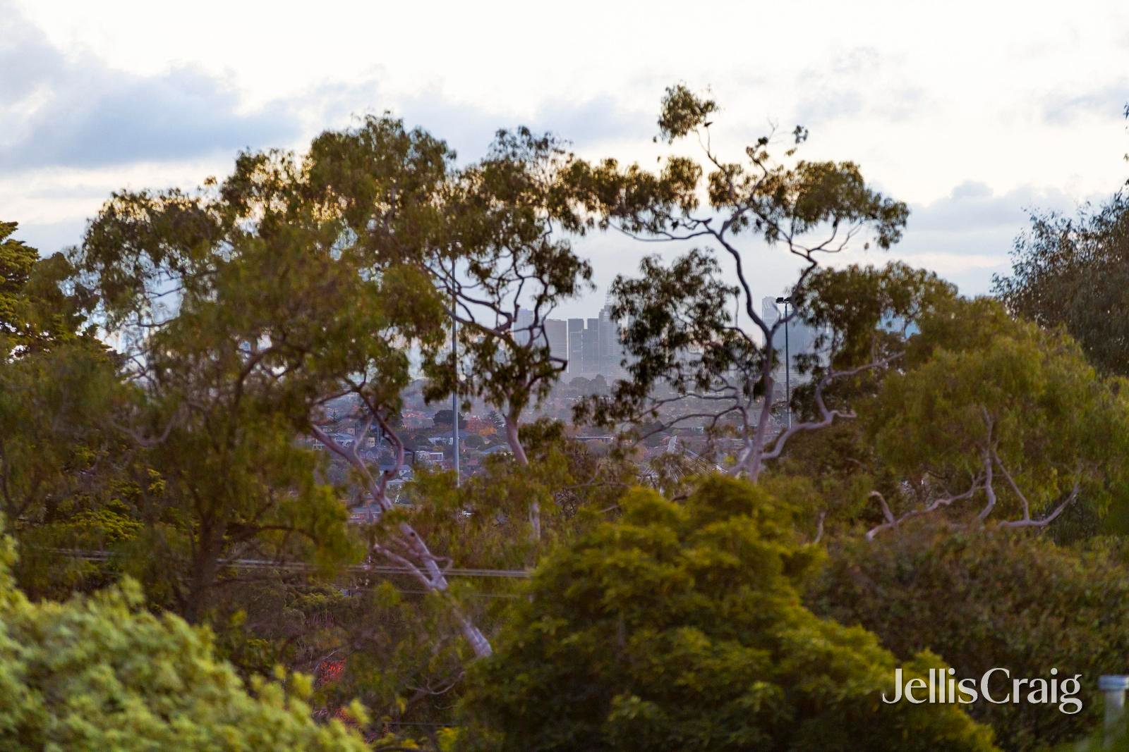 13 Dion Street, Doncaster image 16