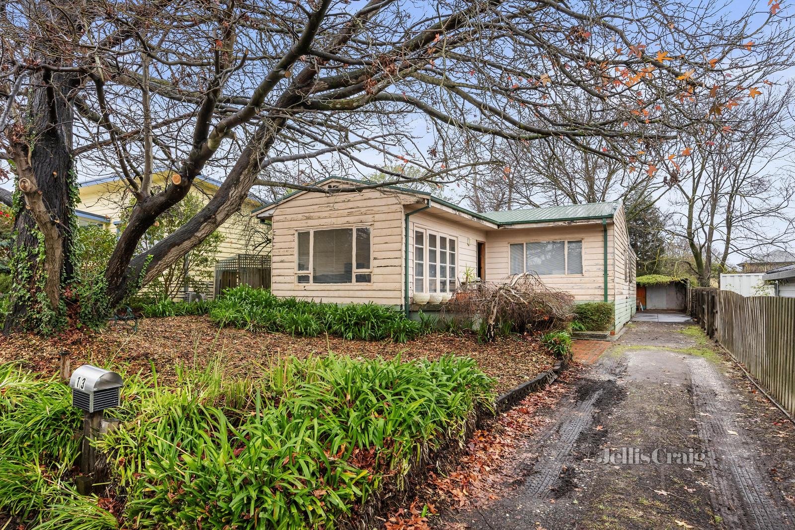 13 Diosma Crescent, Nunawading image 1