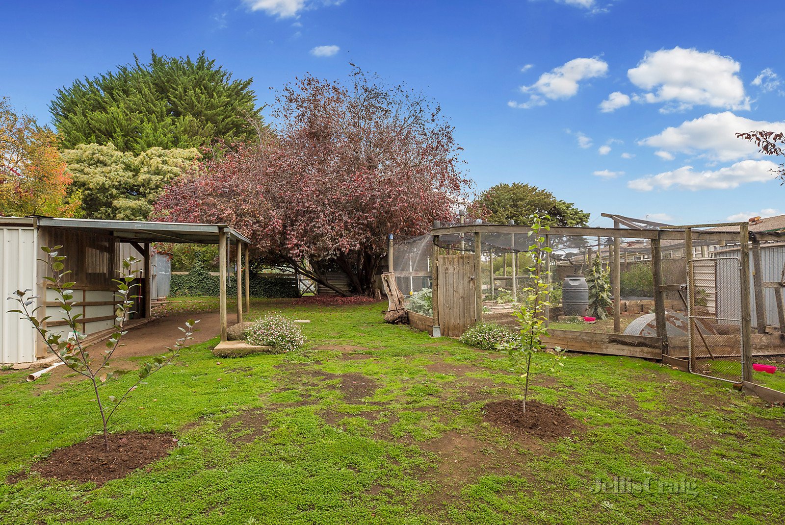 13 Epping Street, Kyneton image 8