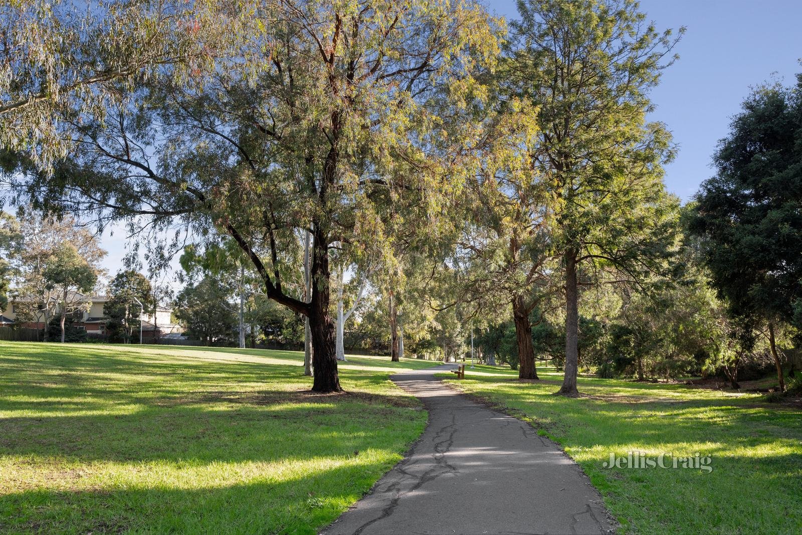 13 Finch Street, Burwood image 9