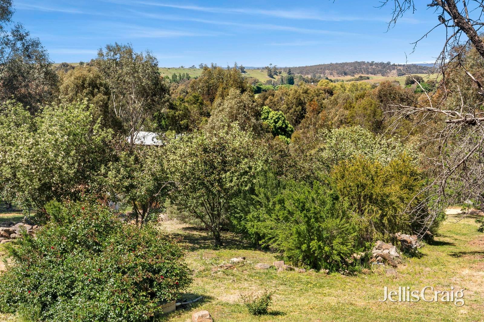13 Franzi Street, Guildford image 13