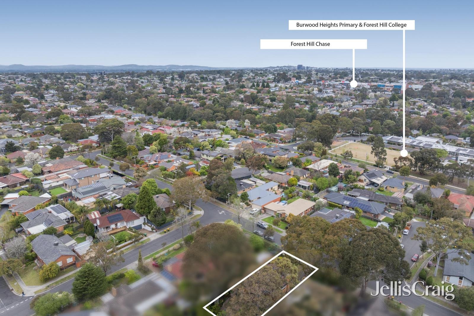 13 Grange Road, Blackburn South image 11
