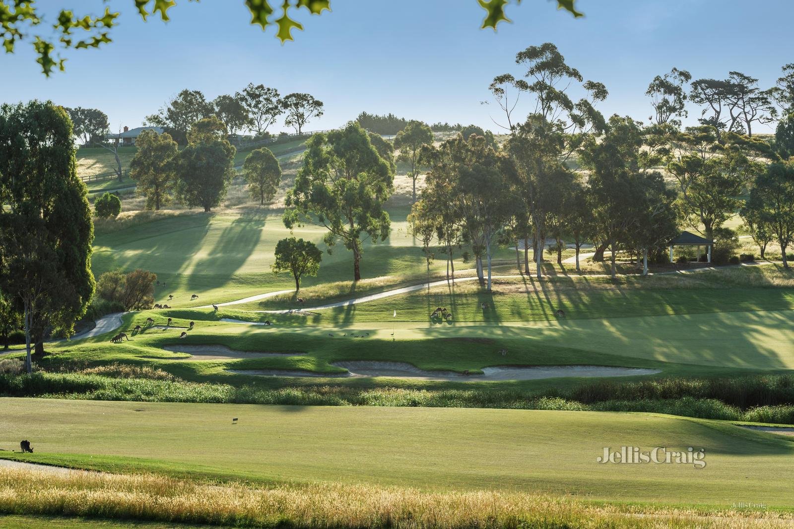 13 Henley Bridge Road, Chirnside Park image 2