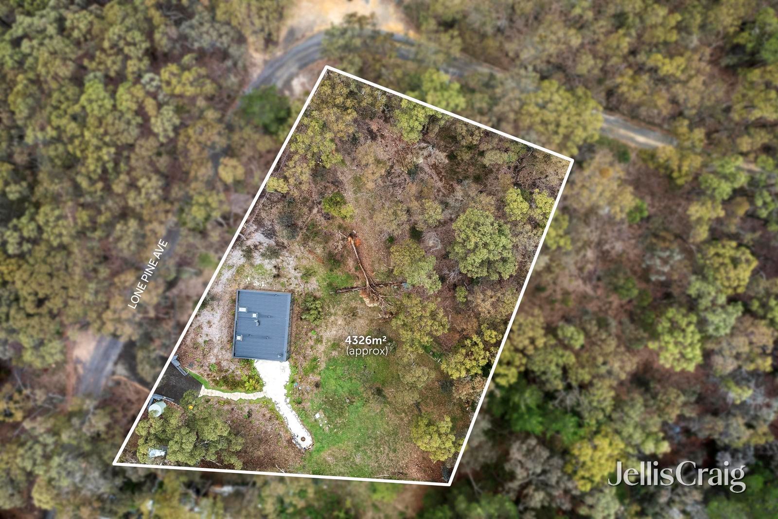 13 Lone Pine Avenue, Hepburn&nbsp;Springs image 11